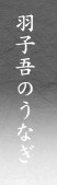 羽子吾のうなぎ