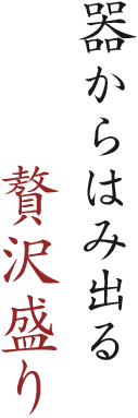 器からはみ出る 贅沢盛り