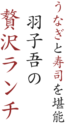 うなぎと寿司を堪能 羽子吾の 贅沢ランチ